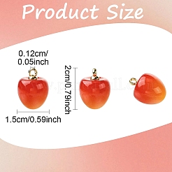 10Pcs Plastic Pendants&nbsp;KY-YW0002-17A