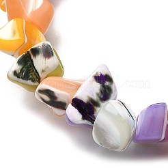 天然トロチッドシェル/トロカスシェルビーズ連売り  染め  ナゲット  ミックスカラー  5~22x7~15x3~8mm  穴：1.2mm  約65~70個/連  14.69~15.35''（37.3~39センチメートル）&nbsp;SHEL-B003-02L