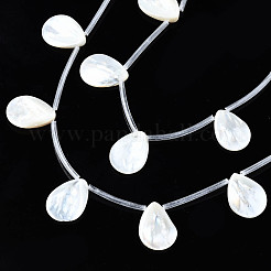 天然淡水シェルビーズ連売り  トップドリルビーズ  ティアドロップ  19~20x14~15x2~3.5mm  穴：0.9mm  約10個/連  12.20インチ〜13.18インチ（31~33.5cm）&nbsp;SHEL-N026-153A-01