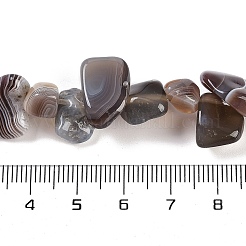 天然ボツワナアゲートナゲットビーズ連売り  7.5~11.5x9~13x4~6.5mm  穴：0.8~1mm  約62~68個/連  14.96~15.55''（38~39.5センチメートル）&nbsp;G-B125-A11-01