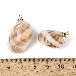 Electroplate Natural Spiral Shell Pendants&nbsp;SSHEL-N042-07