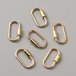 Alloy Screw Carabiner Lock Charms&nbsp;FIND-WH0111-370G