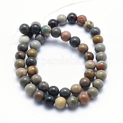 Natural Ocean Agate/Ocean Jasper Beads Strands&nbsp;G-G716-03-8mm