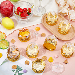 Transparent Plastic Candy Storage Boxes&nbsp;CON-WH0086-224