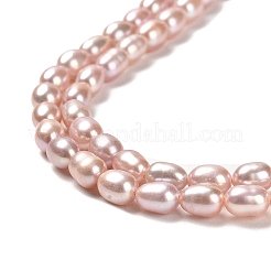 天然養殖淡水パールビーズ連売り  ライス  グレード4 A  ダークサーモン  6~7x4~4.5mm  穴：0.5mm  約58個/連  14.69''（37.3センチメートル）&nbsp;PEAR-E016-162