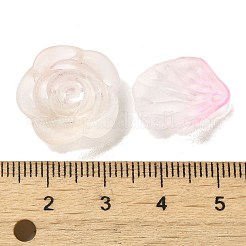 Transparent Acrylic Beads&nbsp;OACR-H039-04D
