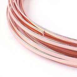 アルミ製ワイヤー  フラット  ロージーブラウン  10x1mm  約5m /ロール&nbsp;AW-L001-C-05