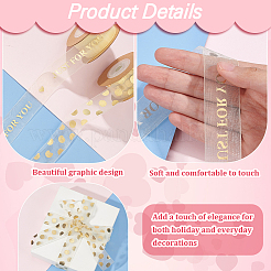 2 Rolls 2 Styles Valentine's Day Hot Stamping Polka Dot & Word Organza Ribbons&nbsp;SRIB-FG0001-17