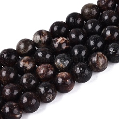 Natural Biotite Beads Strands&nbsp;G-Q616-01C