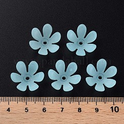 Transparent Acrylic Beads&nbsp;MACR-S373-47-D07