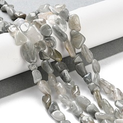 Natural Eagle Eye Stone Beads Strands&nbsp;G-P497-01C-14