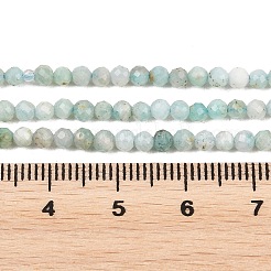 Natural Amazonite Bead Strands&nbsp;G-P279-42-3mm