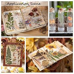 6Pcs Plant PET Adhesive Waterproof Stickers&nbsp;DIY-K074-01E