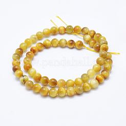 天然ゴールドタイガーアイビーズ連売り  ラウンド  6mm  穴：1mm  約61~63個/連  14.9インチ（38cm）&nbsp;G-K203-84-6mm
