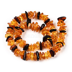 天然琥珀ビーズ連売り  チップ  オレンジ  3~5x8~14.5x7~9.5mm  穴：0.7mm  約106~108個/連  15.35~15.8''（39~39.5センチメートル）&nbsp;G-T138-235E