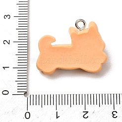 Opaque Resin Pendants&nbsp;RE-CBA5B90-04B