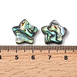 天然アワビシェル/パウアシェルビーズ  スター  カラフル  15.5x16x3.5mm  穴：1mm&nbsp;SHEL-B003-06