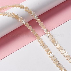 Natural Trochid Shell/Trochus Shell Beads&nbsp;SSHEL-O001-25B-01