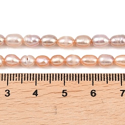 天然養殖淡水パールビーズ連売り  ライス  グレード3 A  アザミ  4.5~5mm  穴：0.6mm  約62~65個/連  13.98~14.17''（35.5~36センチメートル）&nbsp;PEAR-F020-11