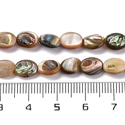 Natural Paua Shell Beads Strands&nbsp;BSHE-B007-06