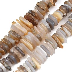Natural Grey Agate Beads Strands&nbsp;G-A302-A02-01