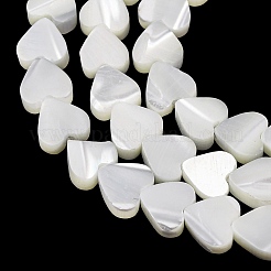 Natural Trochid Shell/Trochus Shell Beads Strands&nbsp;SH-CBA2978-19A