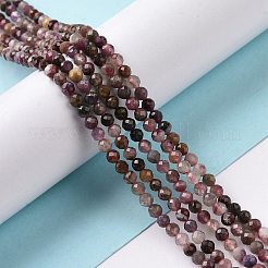 Natural Tourmaline Beads Strands&nbsp;G-P488-01A