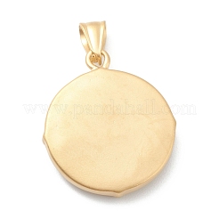 304 Stainless Steel Pendants&nbsp;STAS-B013-01G