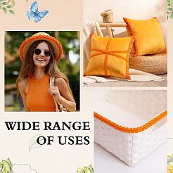 2Bags Polyester Lace Trim&nbsp;OCOR-ME0001-84D