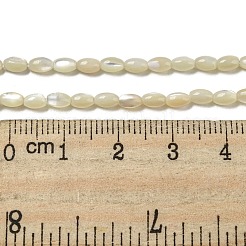 Natural Trochus Shell Beads Strands&nbsp;SSHEL-H072-02B