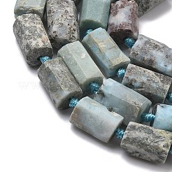 Natural Larimar Beads Strands&nbsp;G-C270-K01