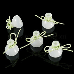 5Pcs Miniature Glass Vase Bottles with Polyester Cord&nbsp;AJEW-TAC00056