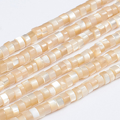 天然トロチッドシェル/トロカスシェルビーズ連売り  コラム  ミックスカラー  3.5~4x2~2.5mm  穴：0.8mm  約176個/連  15.94インチ（40.5cm）&nbsp;SSHEL-L016-13