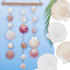 500G Natural Shell Ornaments&nbsp;DJEW-FH0001-35B