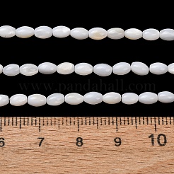 天然淡水シェルビーズ連売り  ライス  ホワイト  5x3mm  穴：0.8mm  約38個/連  7.24''（18.4センチメートル）&nbsp;SH-CBA2978-06A