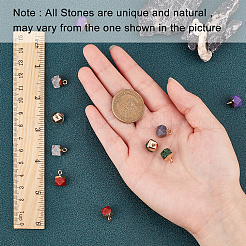 10Pcs 5 Colors Ruby in Zoisite & Grey Agate & Quartz Crystal & White Jade & Turquoise Gemstone Charms&nbsp;G-SC0002-05