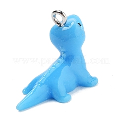 Resin Pendants&nbsp;RESI-Q002-01D