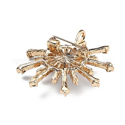 Alloy Rhinestone Brooch for Backpack Clothes&nbsp;JEWB-P046-05A-G
