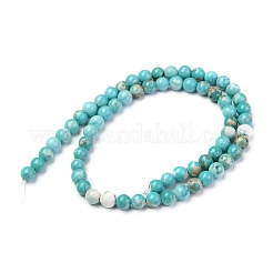 Natural Howlite Beads Strands&nbsp;X-G-L555-02-6mm