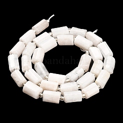 Natural Rainbow Moonstone Beads Strands&nbsp;G-G068-A43-01