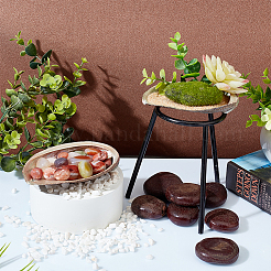Natural Abalone Shell Display Decoration&nbsp;DJEW-WH0015-105