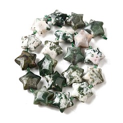 Natural Tree Agate Beads Strands&nbsp;G-U023-C01-08