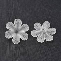 Transparent Acrylic Beads&nbsp;PAF154Y-11