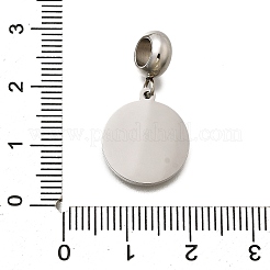Jewelry 304 Stainless Steel European Dangle Charms&nbsp;OPDL-L013-40B