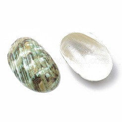 Spiral Shell Beads&nbsp;LS-SSHEL-S258-09