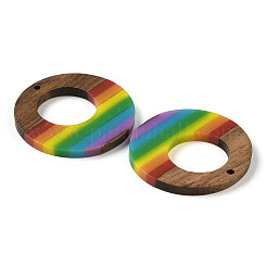 Pride Rainbow Theme Resin & Walnut Wood Pendants&nbsp;WOOD-K012-04