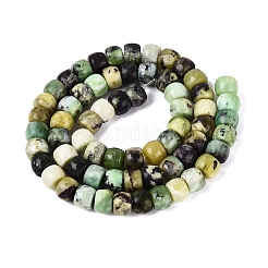 Natural Serpentine Beads Strands&nbsp;G-Q616-02A-09