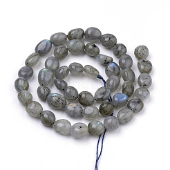 Natural Labradorite Beads Strands&nbsp;G-Q952-12-6x8