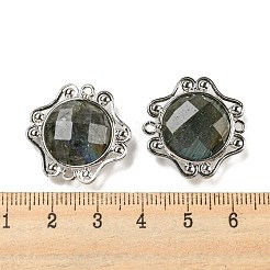 天然ラブラドライトのファセットコネクターチャーム  ラックメッキプラチナメッキ真鍮楕円リンク  23x23.5x6~6.5mm  穴：1.5mm&nbsp;G-M431-09P-02