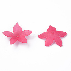 Transparent Acrylic Beads&nbsp;X-MACR-S373-127-D